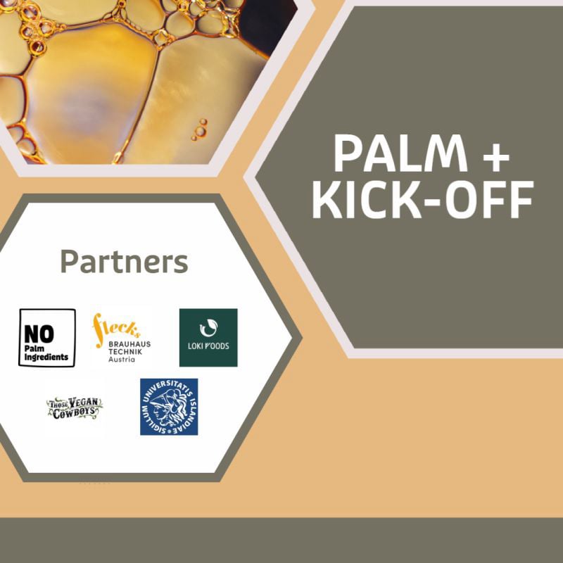 PALM+ Eurostars Project